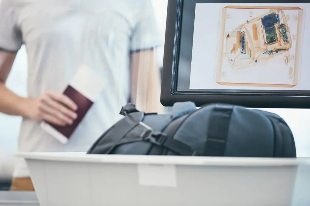 Travel Sentry | Common Mistakes That Cause Fliers to Miss Their Connection Travel Sentry | Common Mistakes That Cause Fliers to Miss Their Connection