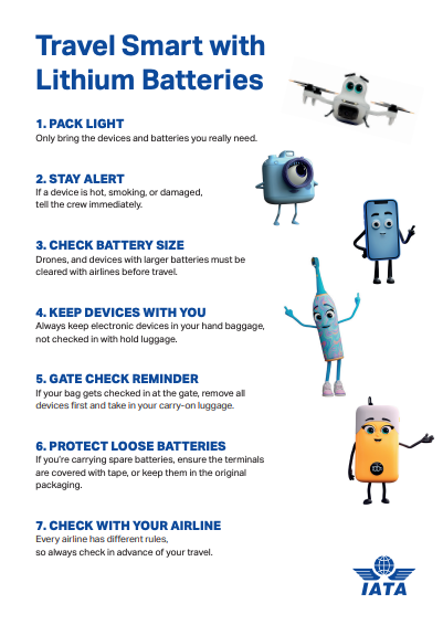 Travel Sentry | Can You Take Power Banks on a Flight