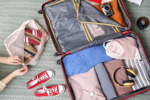 Travel Sentry | Why Rising Airline Baggage Fees Are Changing How We Travel 